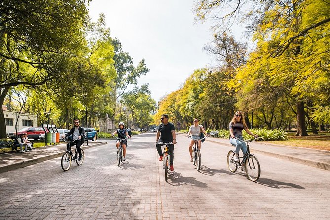 Street Food Bike Tour / Mexico is not only Tacos / All Inclusive - How safe and difficult is the cycling?