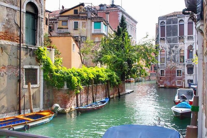Tasty Street Food Tour of Venice City Center with Cicchetti & Local Specialties - What you may actually eat