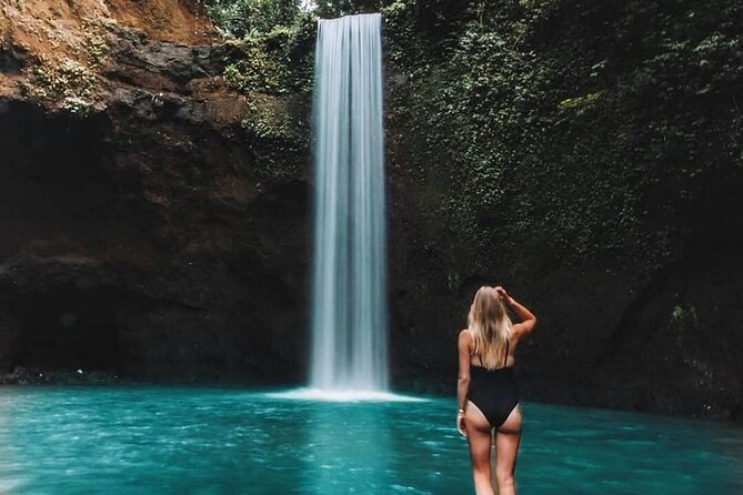 Ubud Day Tour : Waterfall, Temple and Local Night Market Tour - Monkey Forest begins the cultural and nature mix
