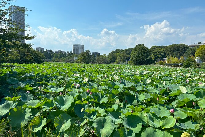 Ueno Park and Ameyoko Street Food Market Half Day Walking Tour - Ameyoko Street, where the tour changes character
