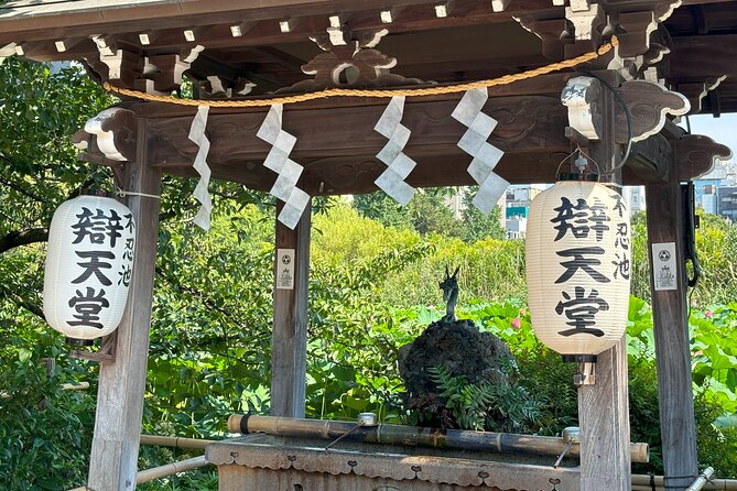 Ueno Park and Ameyoko Street Food Market Half Day Walking Tour - What the $45 price really covers