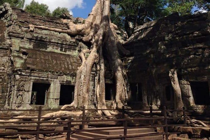 Ultimate Siem Reap Food Tour by Tuk Tuk - 20 Tastings, 8 Stops - Two classic Cambodian dishes at a family stall