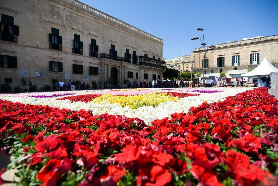 Valletta: Street Food and Culture Walking Tour - Valletta landmarks with a bite of context