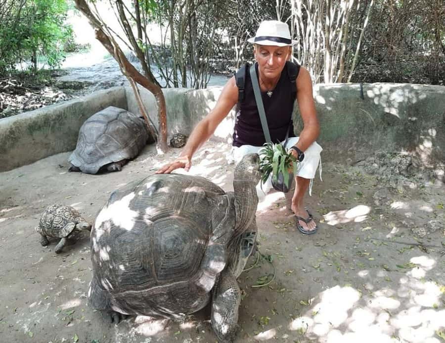 Zanzibar: Stone town tour, Prison island & night food market - Meeting the giant tortoises on Changuu Island